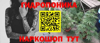 кокс Гусев