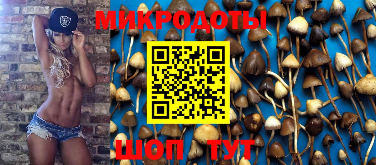 Псилоцибиновые грибы Magic Shrooms  Вход с VPN  хочу   Мирный 