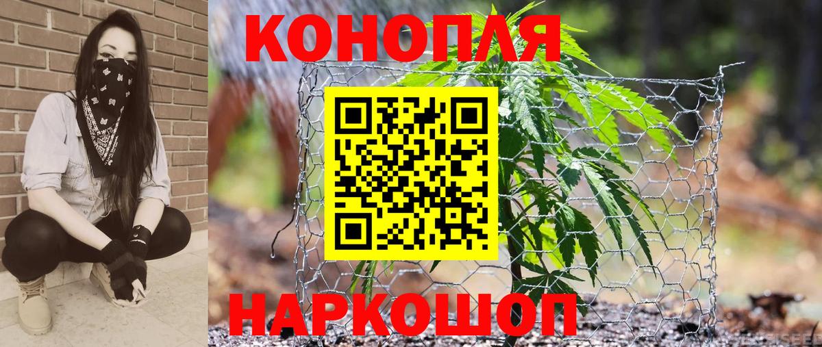 Шишки марихуана Amnesia Мирный